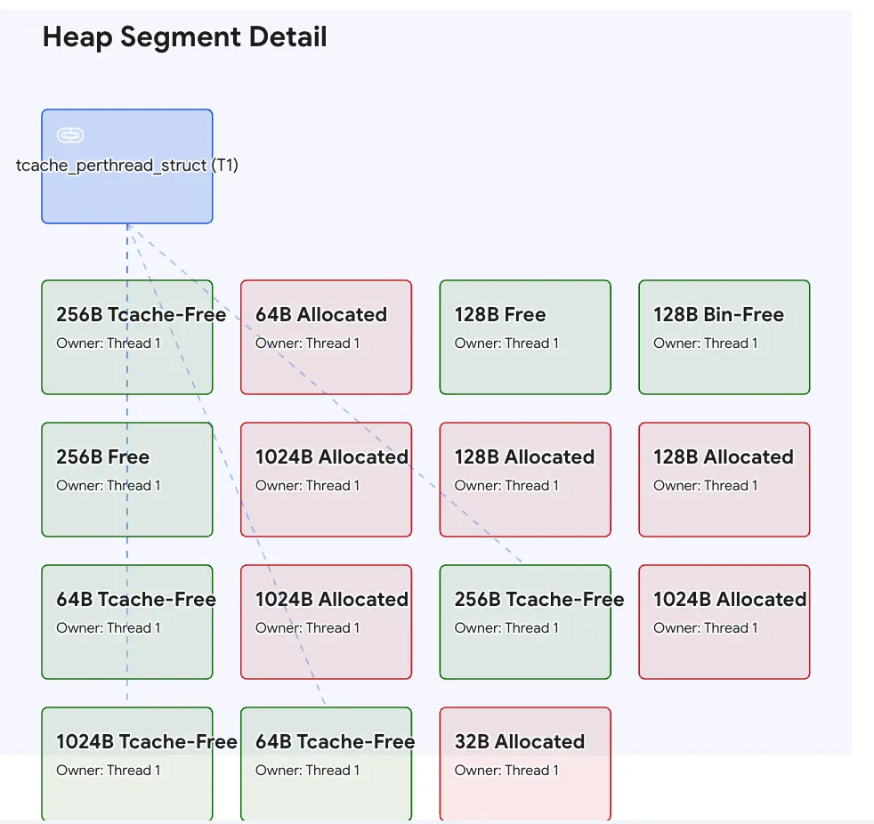 Heap segment detail showing tcache per-thread structure and allocated or free chunks.