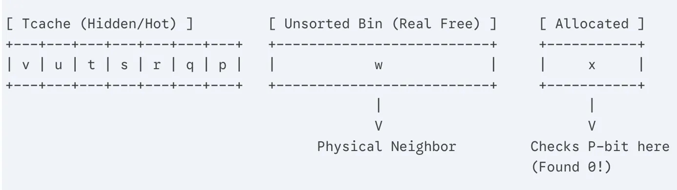 ASCII style diagram showing tcache, unsorted bin, and allocated chunks.